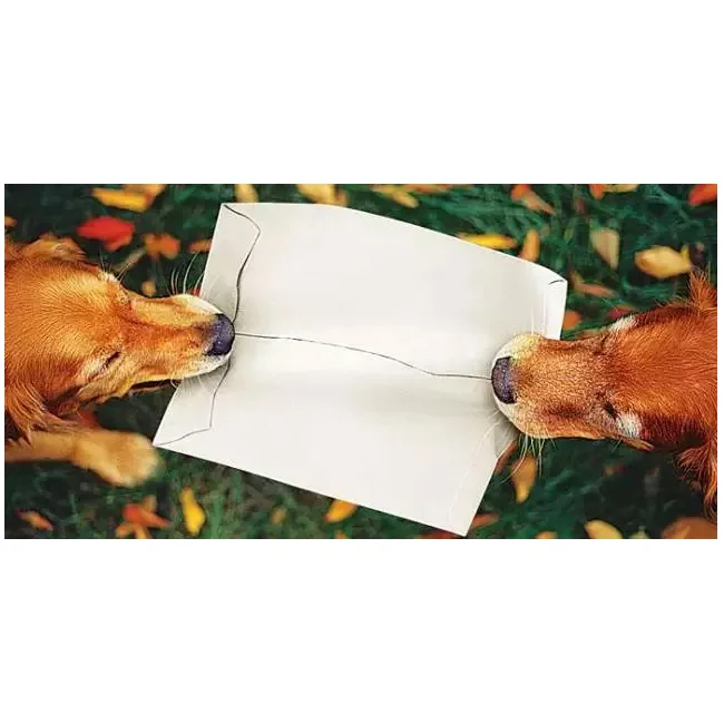 Экологичный дешевый бумажный конверт Dupont