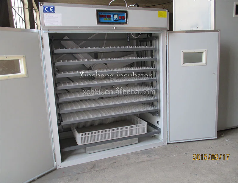 880 штук мини-инкубатор для куриных яиц на европейском рынке продажи Филиппины