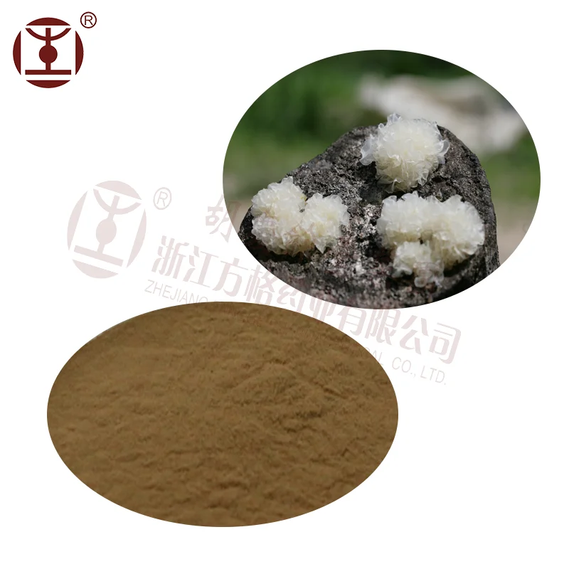 Agrocybe aegerita,yin er;Tremella fuciformis extract mycelium;OEM