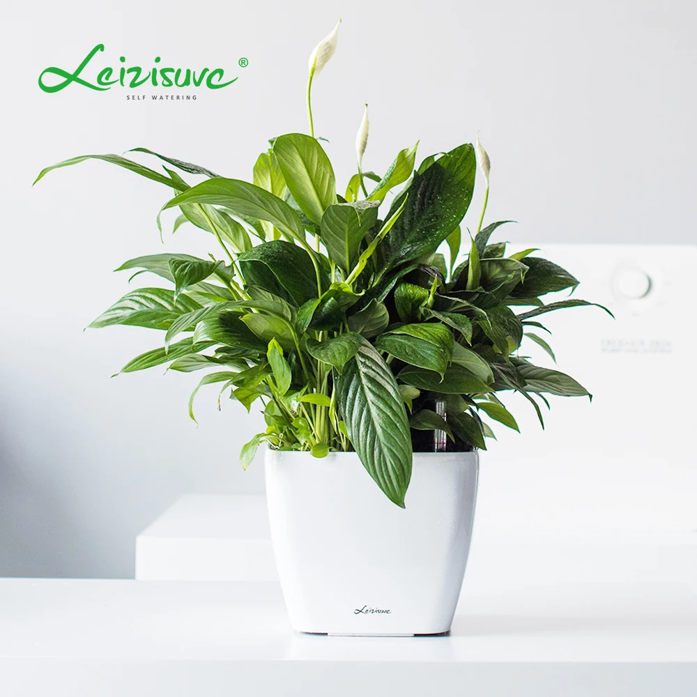 Western-Style Small Decorative Plastic Flowerpot Mini Lazy Herb and Succulent Plant Pot for Home Garden or Outdoor Living Room