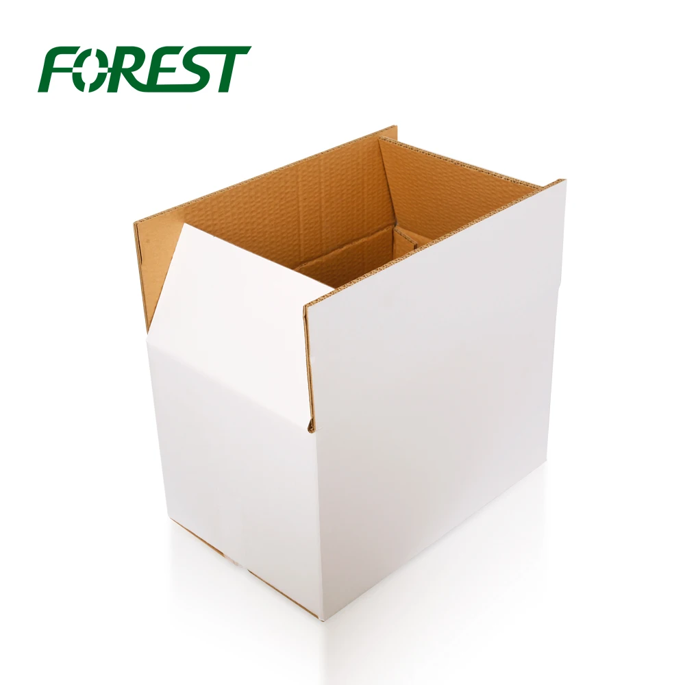 Forest Custom logo design corrugated mailing packaging shipping carton boxes