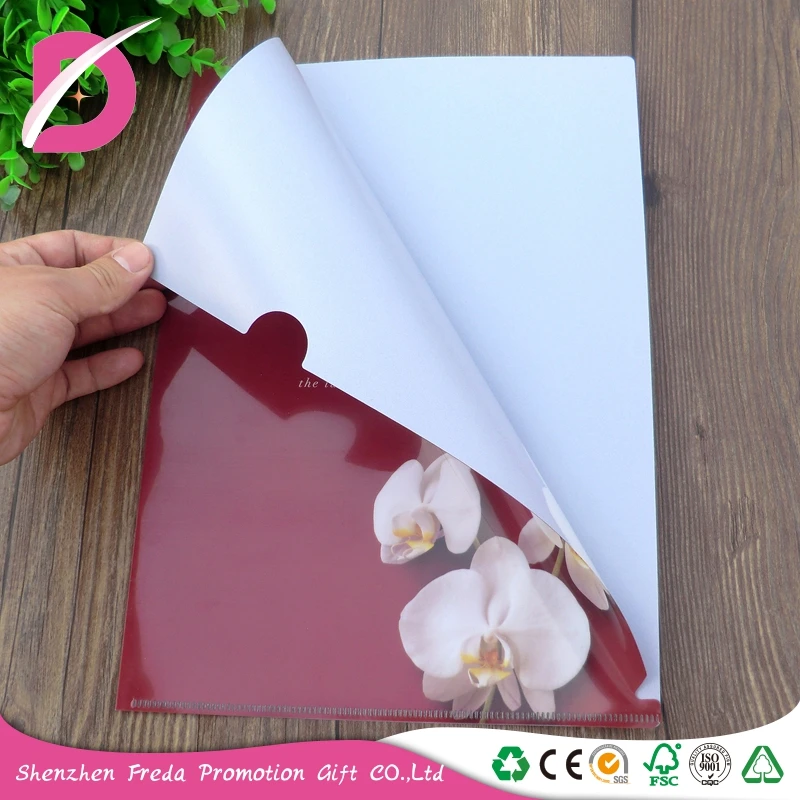 
A3/A4/A5 Size Clear PP Plastic Document Hanging File Folder cheap price 