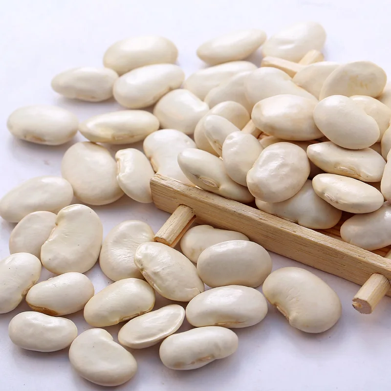 Types of white beans