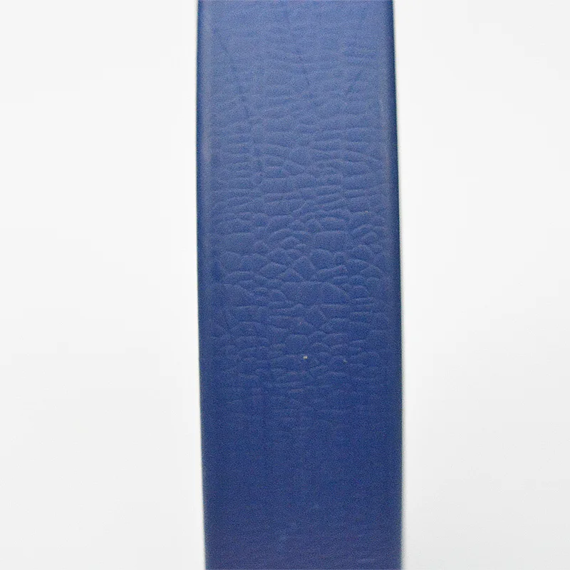 coated webbing bridle 10