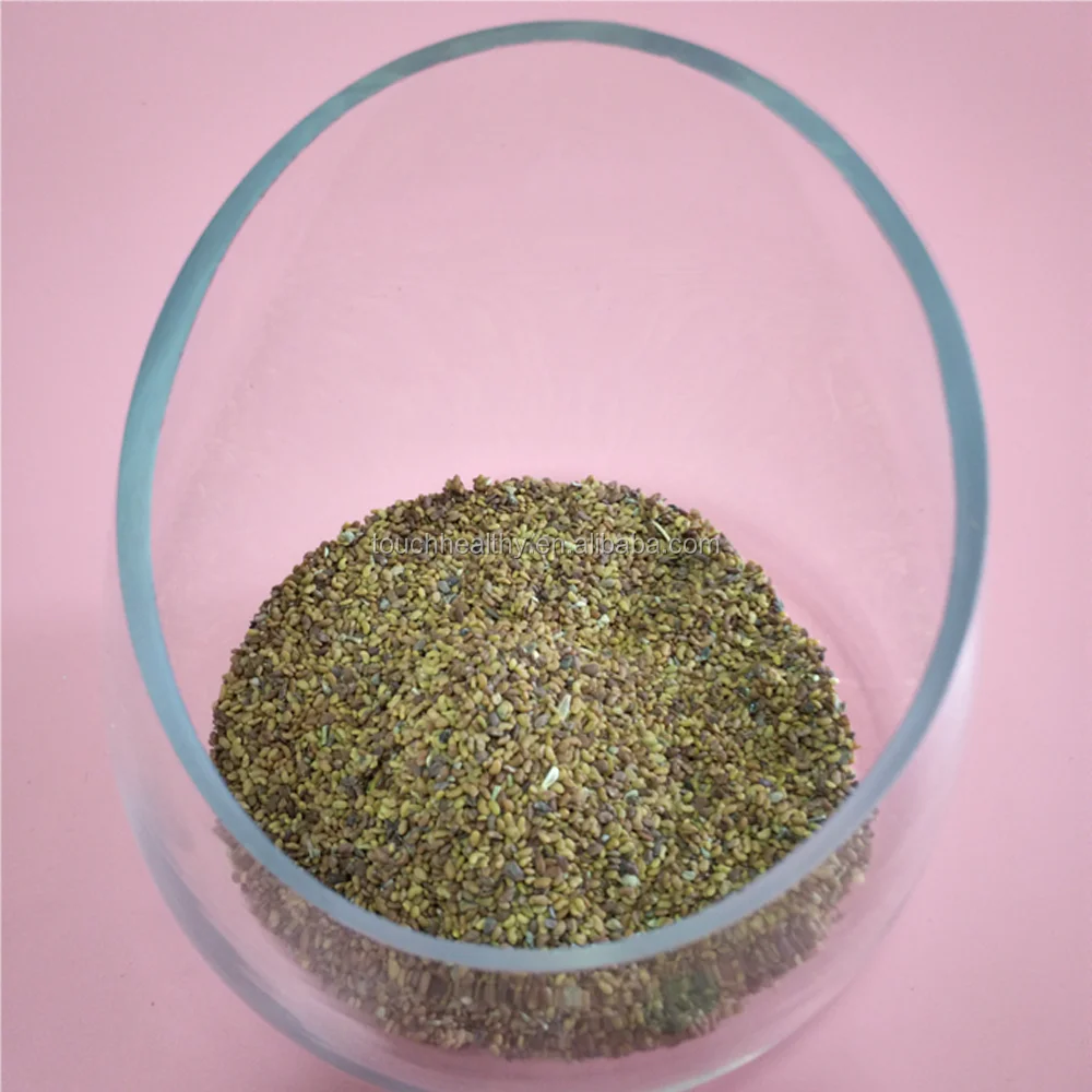 2021 Top quality Alfalfa seeds ready stock , Alfalfa seeds exporter , Alfalfa seeds cheap price
