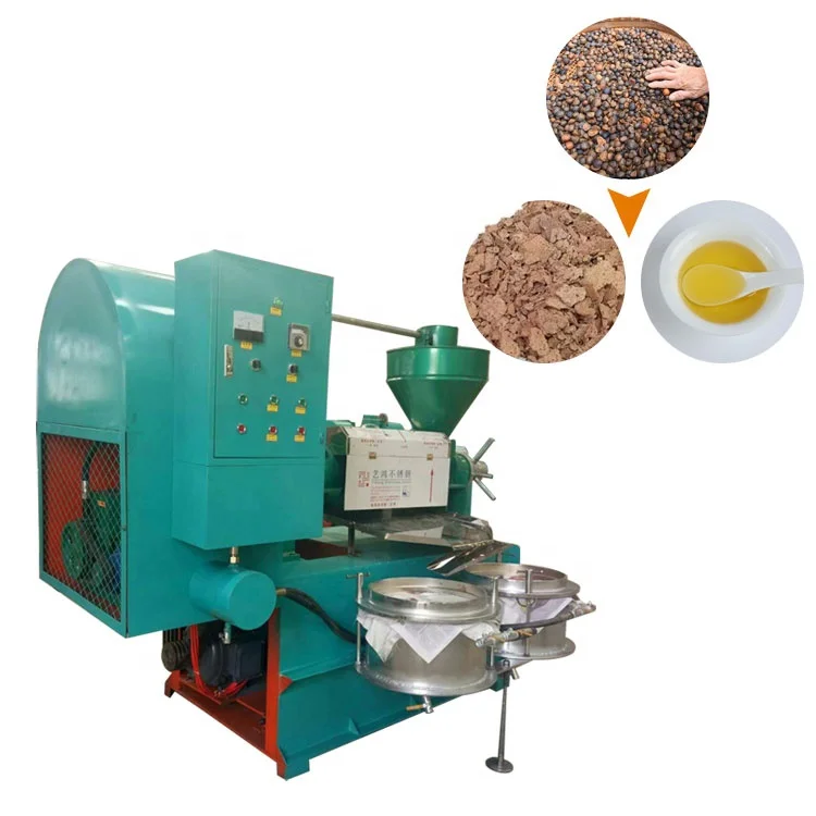 Olive Oil Making Extracting Machine Professional Edible Oil Press Machinery for Sesame Peanut Soybean Cotton Seeds Coconut