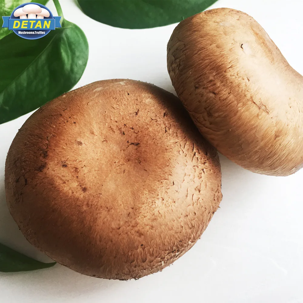 Detan Fresh Portobello Chinese Mushrooms