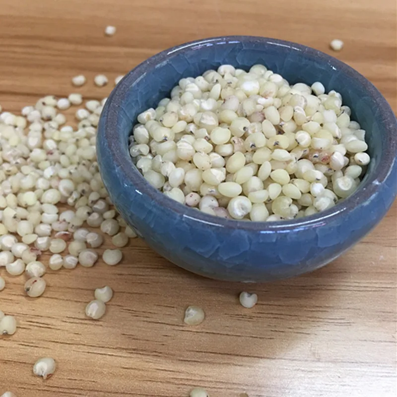 
Sweet Sorghum Seed for Sale 