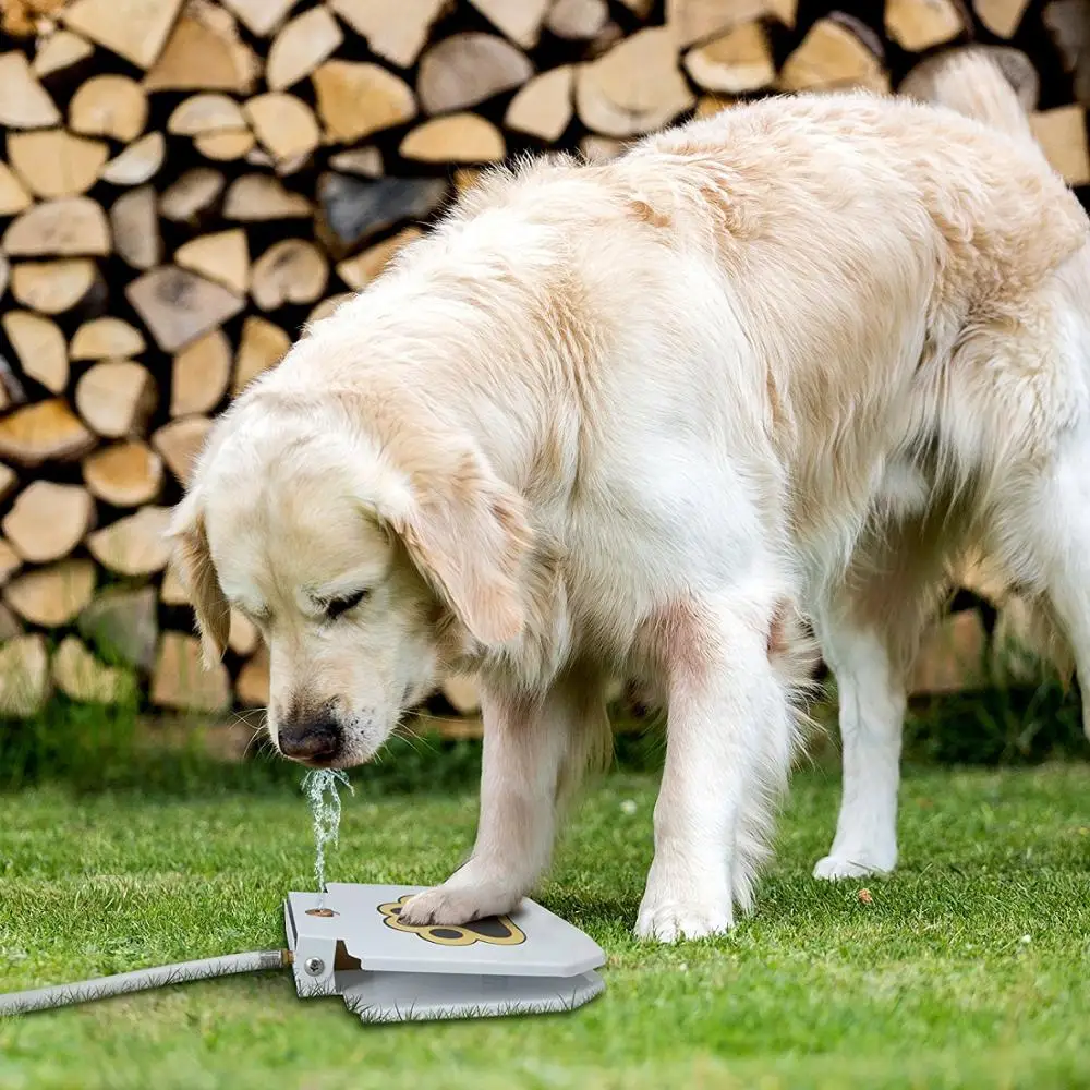 super september promotion dog water fountain