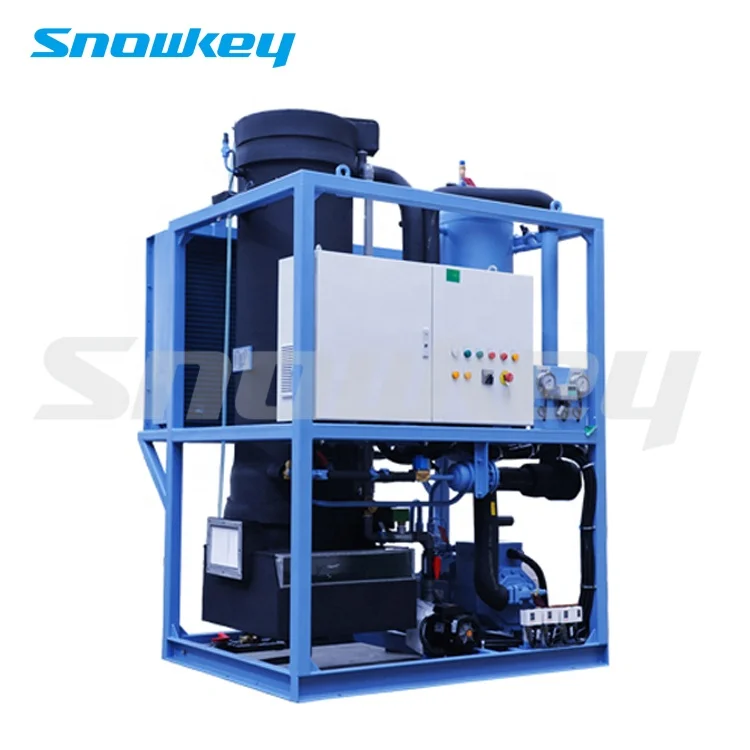 Snowkey Design Ice Tube Machine 3 Ton Philippines