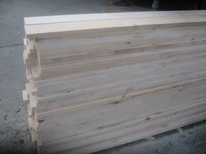 
Spruce Ukraine Odessa 