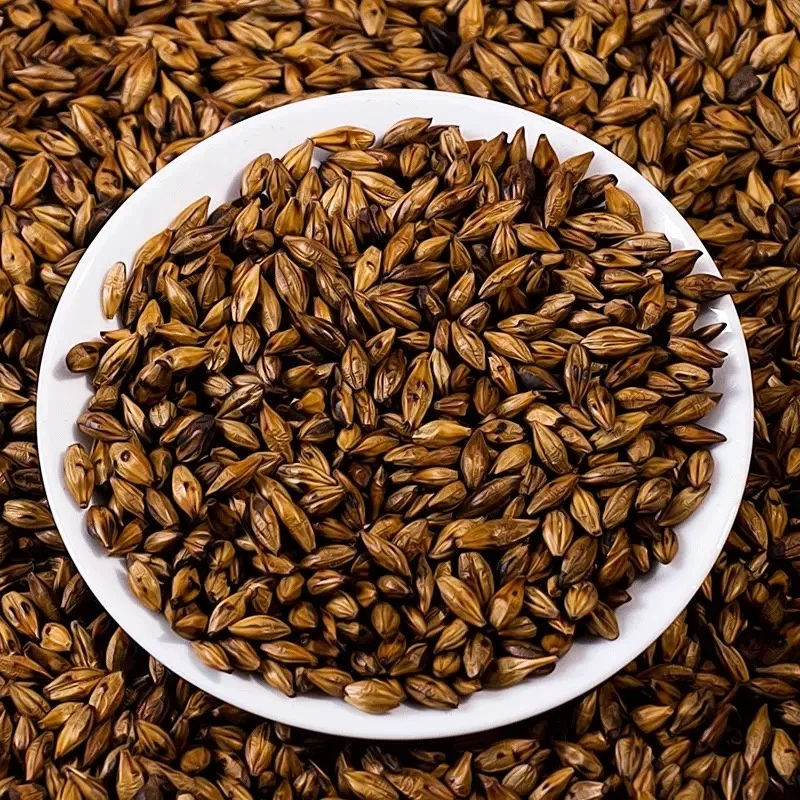 Roasted Barley Grain Tea Stir-fried Barley Malt Tea Health Grain Drink Barley Tea