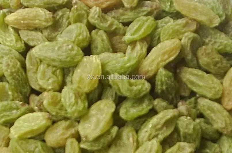 
chinese sun dried xinjiang green raisins for export 