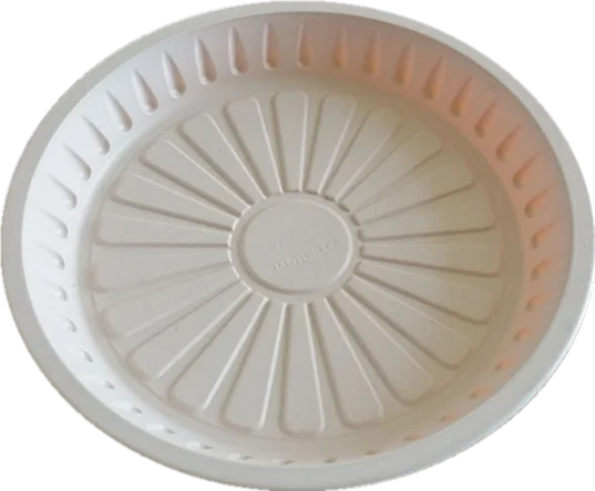 
Automatic Plastic Take Away Food Container Box Making Machine 