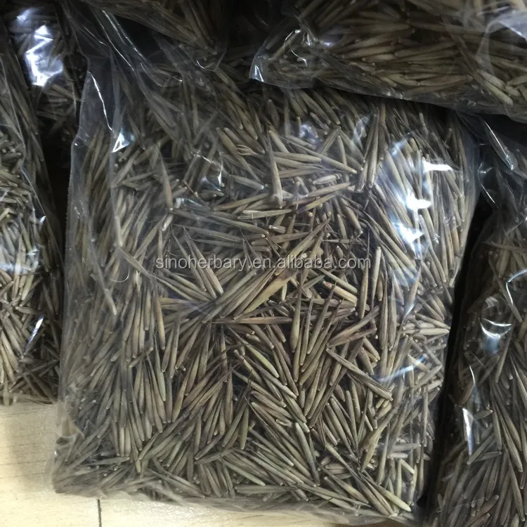 Различные виды семян бамбука ландшафтное растение черные бамбуковые семена для продажи