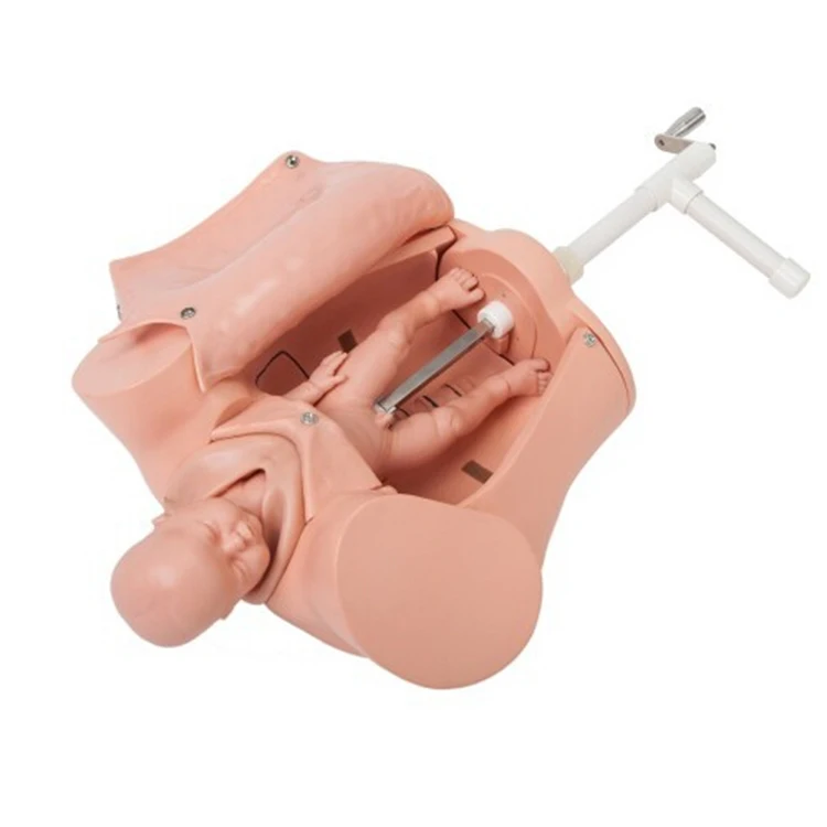MY-N296 Medical advanced pvc midwifery manikin Childbirth Skill Training Model