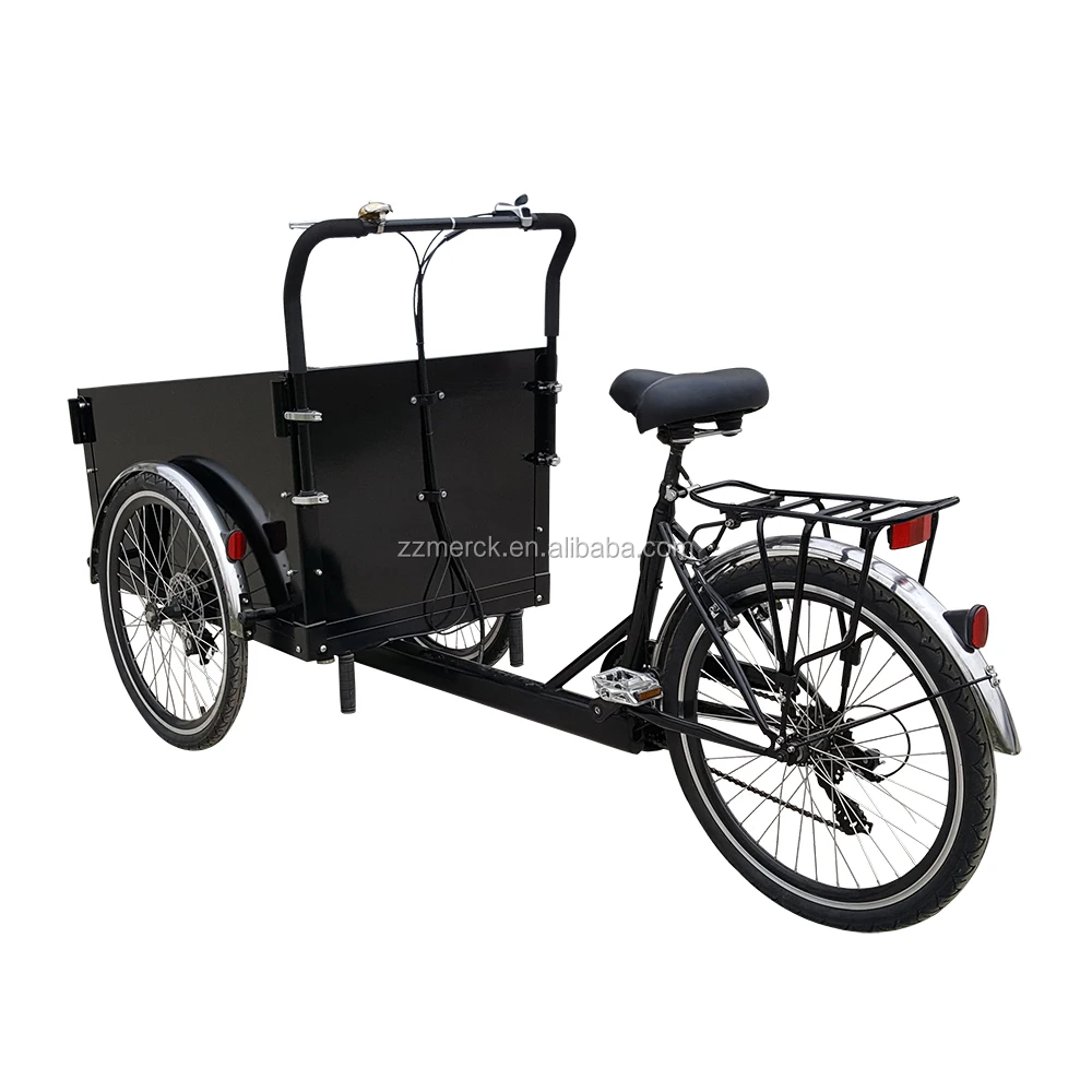 Magazines and Mails Delivery Three Wheel Denmark Electric Trike Cargo Bike for Sale