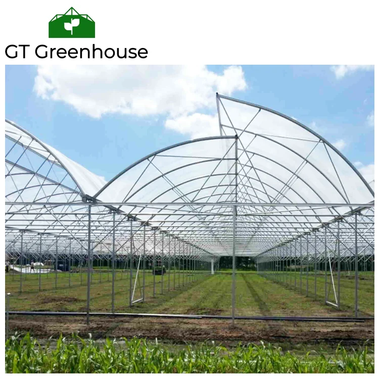 Agricultural Tropical Open Roof Greenhouses