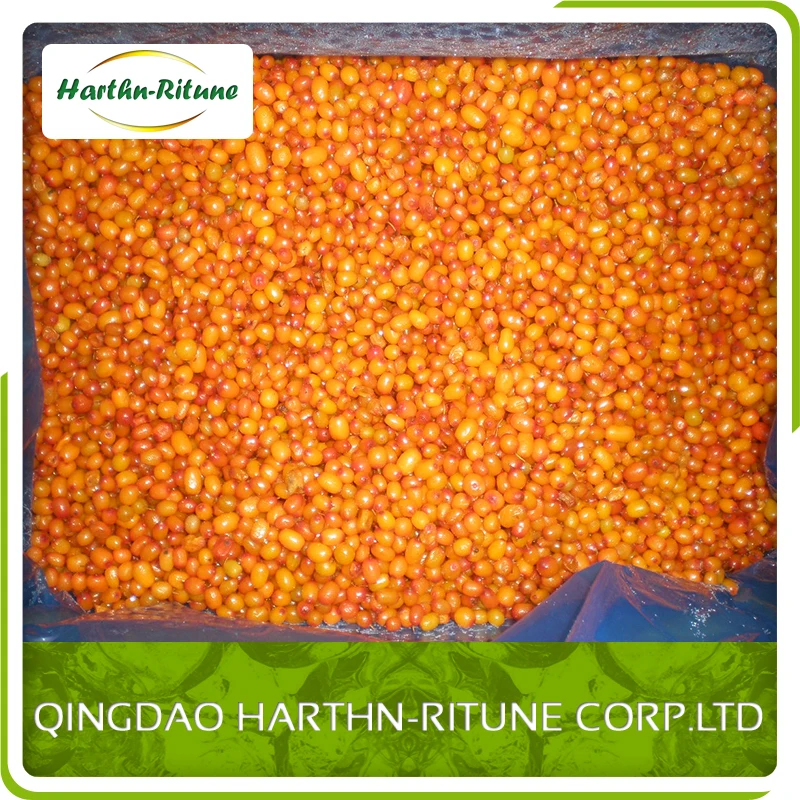 IQF Sea Buckthorn Fresh Frozen