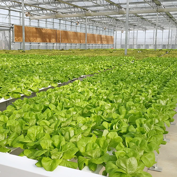 
Wholesale 4x8 Hydroponic Grow Table Cultivation System 