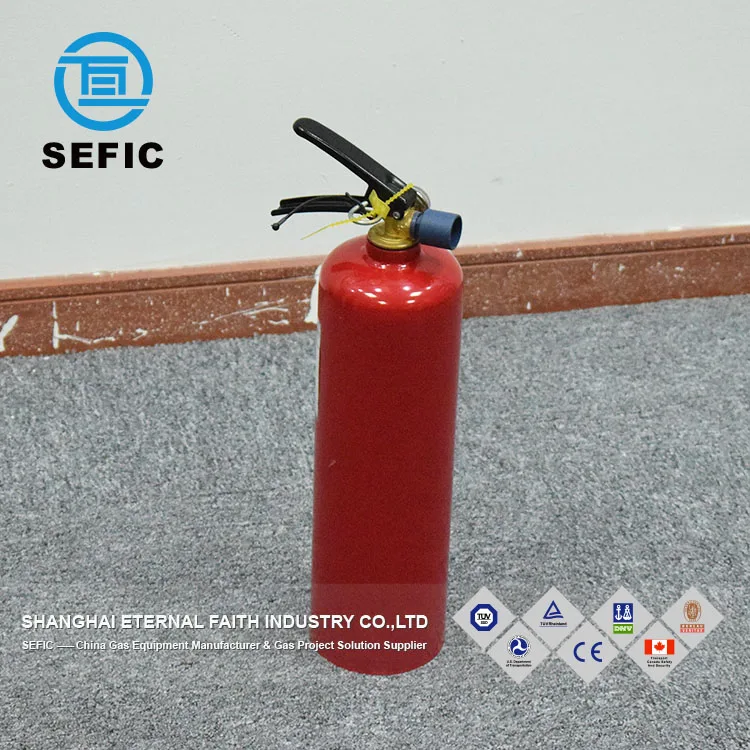 China Supplier 5kg CO2 Fire Extinguisher