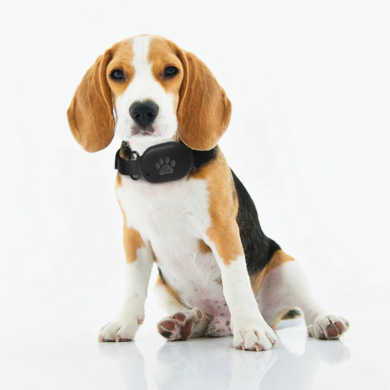 Protect Real Time Historical Route Playback Tracker Pet GPS Tracking Locator Collar Anti Lost for dog pet