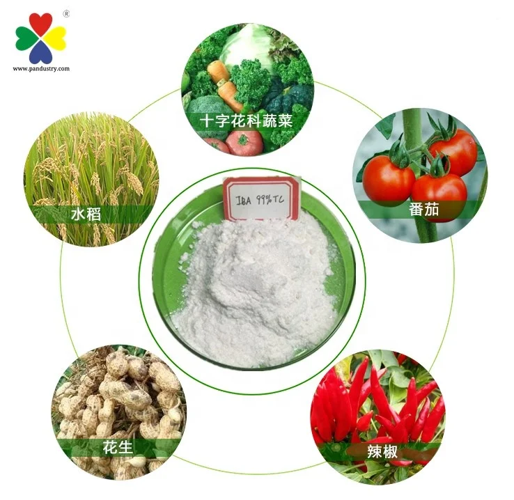 
Plant growth hormone(water soluble) Indole 3 butyric acid best price 