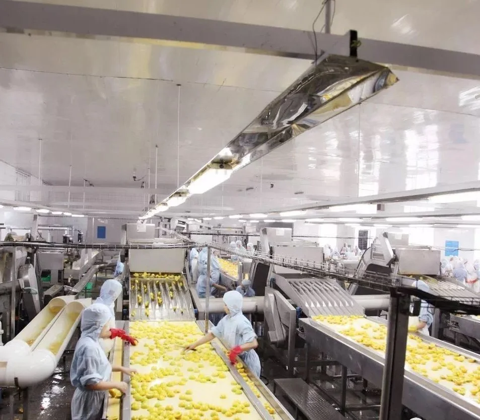 Complete canned fruit vegetable processing production line