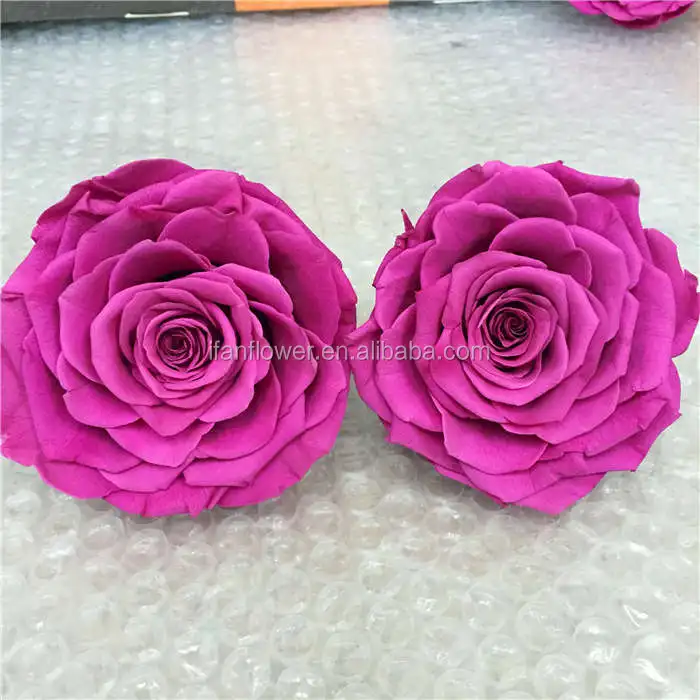 Unique style excellent quality freeze dried roses preserved rose flower