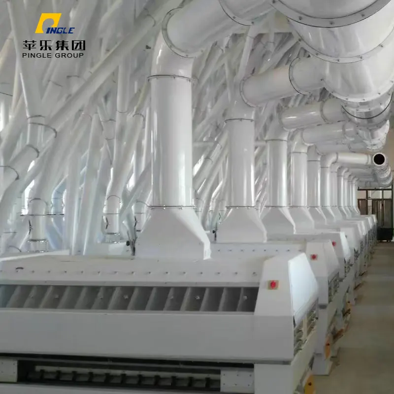 Strong and durable milling wheat in bulk