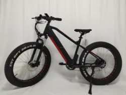PETRIGO 26 Inch Snow Electric Bike with New Design Hidden Battery Fat Tire Electric Mountain Bicycle High speed E-Bike