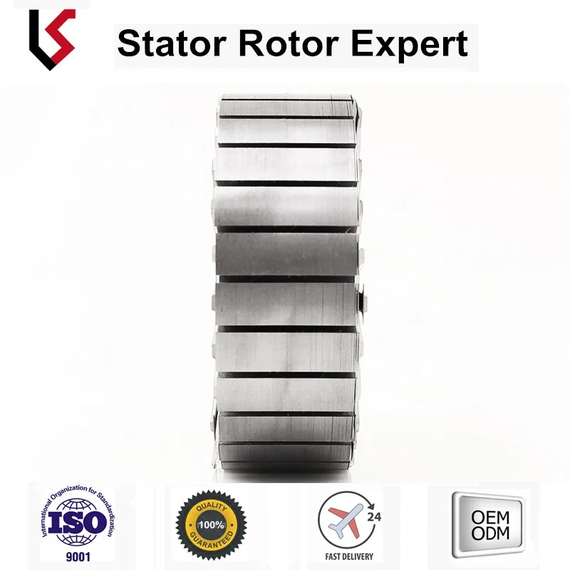 Segway Balance Vehicle Stator and rotor assembly metal sheet stamped rotor stator lamination winding motor rotor stator core