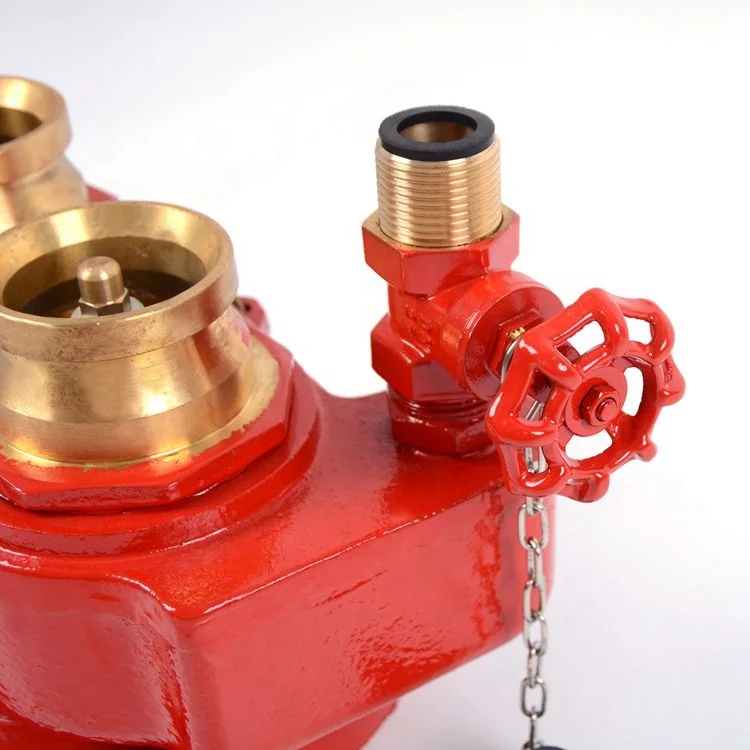 100 mm flange outlet fire hydrant 2 way breeching water inlet valve