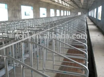 Pig farm equipment pig gestation crates for sows