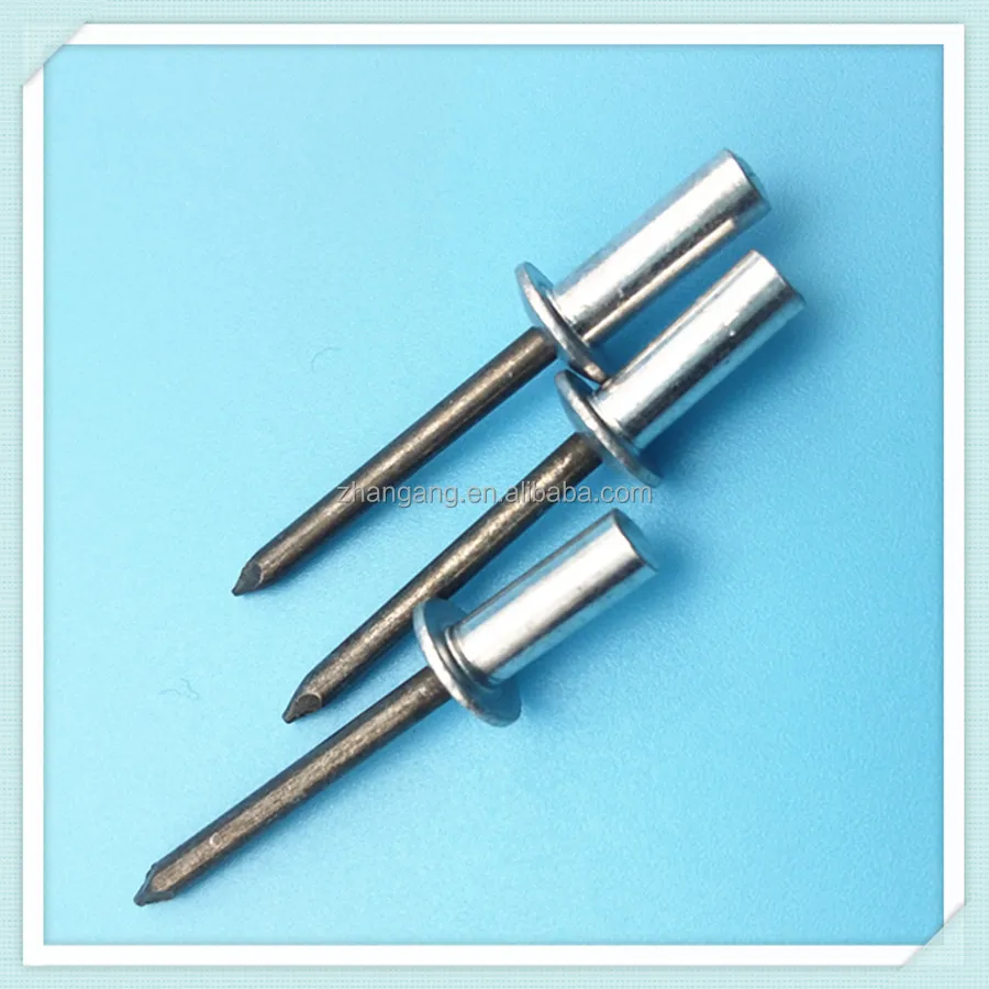 Seal Type Closed End Nut Aluminum Steel Pop Rivet Bolt Waterproof Aluminum Boat Blind Rivet in China
