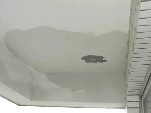 
JS Acrylic Polymer Cement Waterproof Coating 