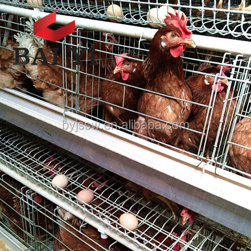 Cheap Chicken Coops Directly From Factory