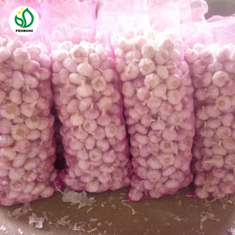 China 2021 New Crop Garlic Supplier for Bangladesh/Pakistan (20kg/bag)