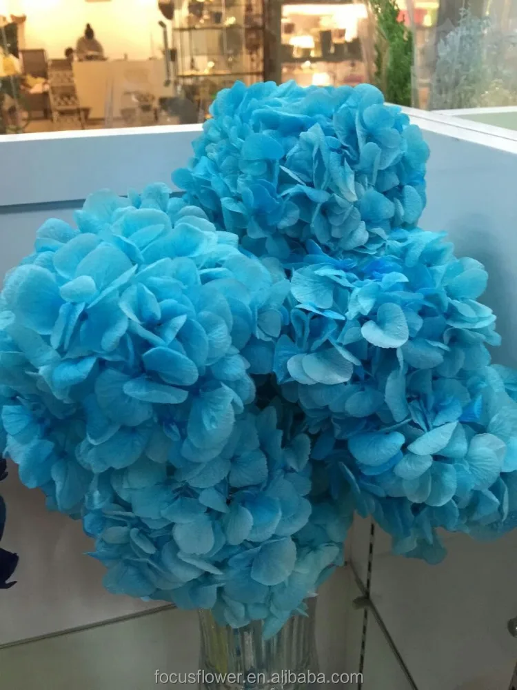 fast delivery wholesale real preserved roses cut price for weddings