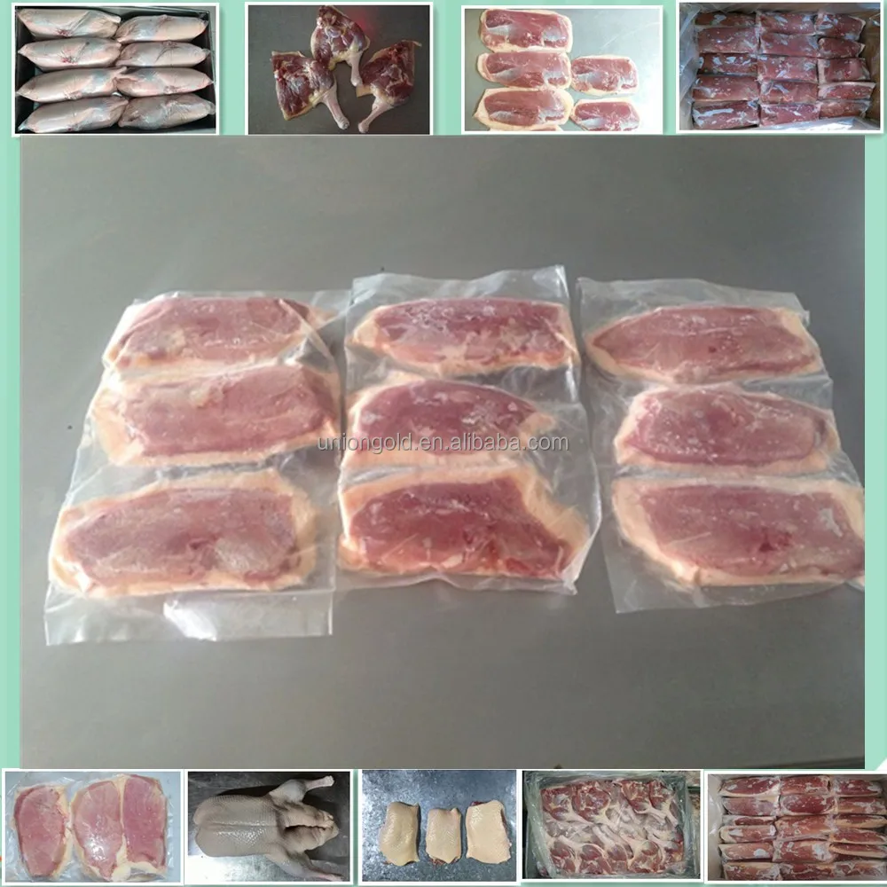 Best quality frozen duck meat