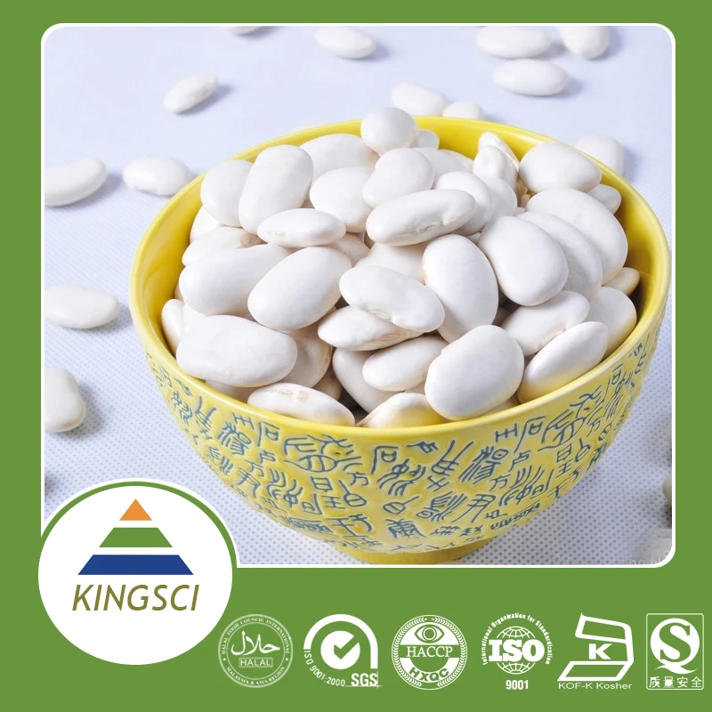 
White Kidney Bean Extract 10:1 20:1 Phaseolin1% 