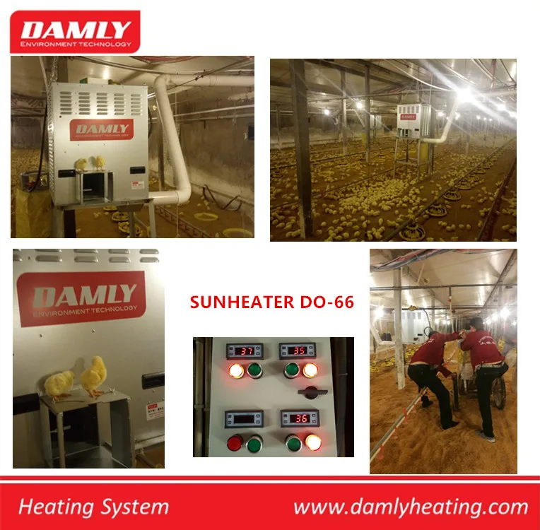 DAMLY Good Quality High Efficient Automatic Control LPG broiler poultry gas Space heater
