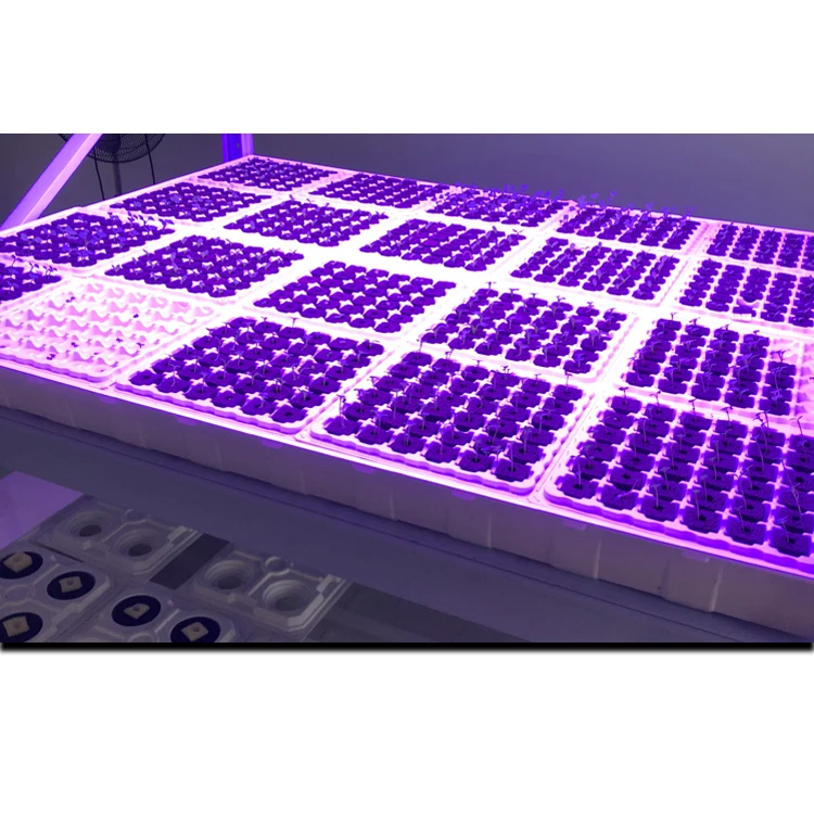 
OEM Custom Plastic Seeding Nursery Tray Durable High-quality Large Hydroponic Tray 