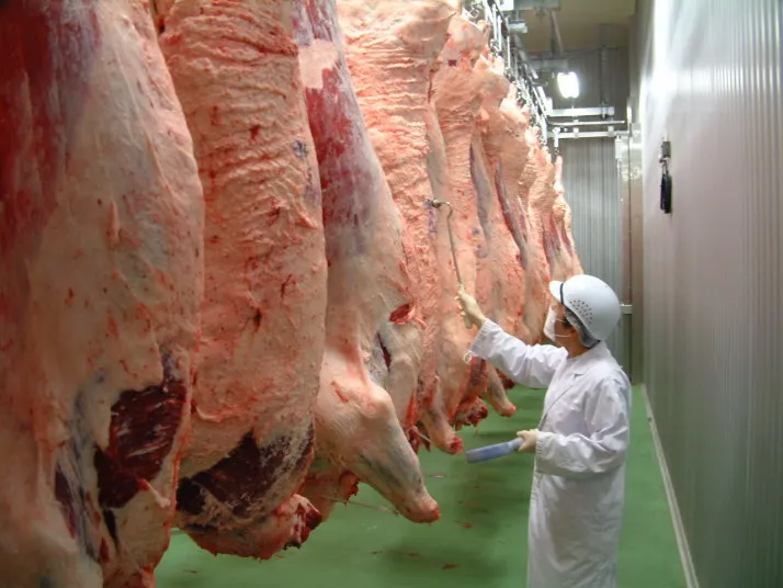 Hida beef Meat Importers Frozen