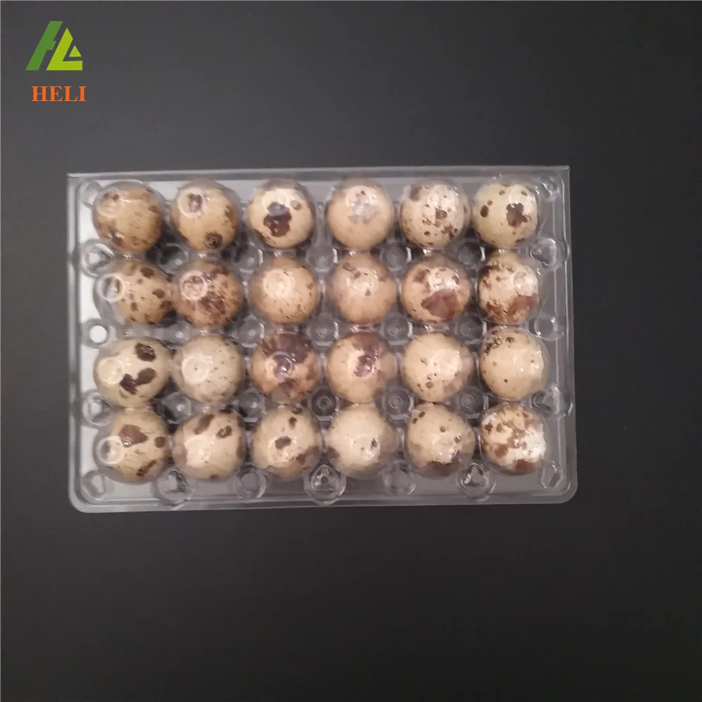 24 Holes Clamshell clear disposable plastic quail egg cartons