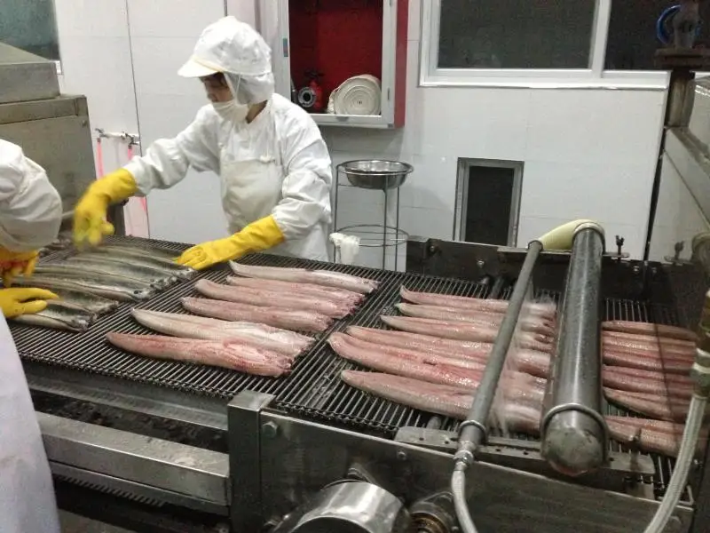 
6 OZ Unagi Kabayaki roasted eel sushi food frozen eel 