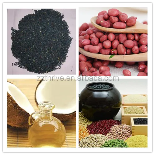 small low temperature corn oil making machine, healthy mini commercial almond oil press machine