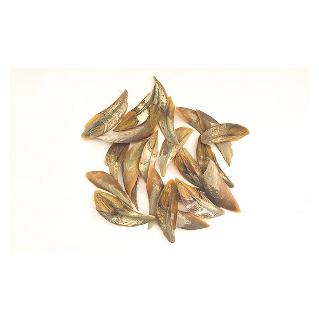  Лидер продаж в Южную Азию высокое качество ракушка для долларов