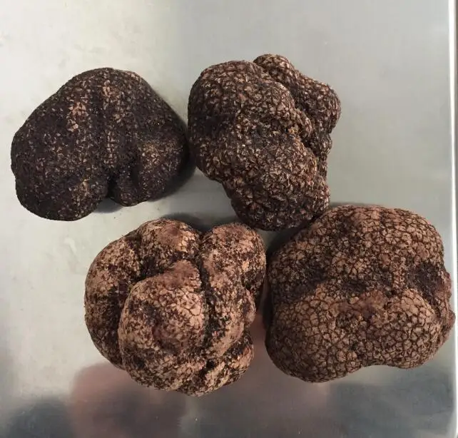 
FRESH FROZEN TRUFFLE TUBER INDICUM CHINESE TRUFFLE 