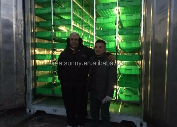 1tons fooder per day container type hydroponic system/fodder grass machine